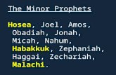 The Minor Prophets Hosea, Joel, Amos, Obadiah, Jonah, Micah, Nahum, Habakkuk, Zephaniah, Haggai, Zechariah, Malachi