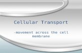 Cellular Transport -movement across the cell membrane