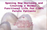 Opening New Horizons and Creating a Normal, Functional Life for Cleft Palate Patients By Tanja Geurtse In partial fulfilment of BTech: Den Tech. Degree.