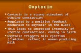 Oxytocin Oxytocin is a strong stimulant of uterine contraction Oxytocin is a strong stimulant of uterine contraction Regulated by a positive feedback mechanism.