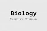 Biology Anatomy and Physiology. Organization Within the Body Cells- Basic unit of life, smallest functional unit within living things –Cell Specialization-