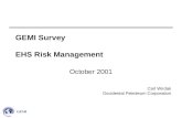 Carl Wirdak Occidental Petroleum Corporation GEMI Survey EHS Risk Management October 2001.