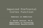 Impaired Prefrontal Cortex Function Seminars in Addiction J. David Jentsch, Ph.D. Department of Psychology (Behavioral Neuroscience)