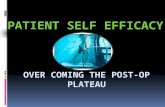 Patient’s report feeling like they “plateau,” or stop making gains due to comfort level or commitment  Focus is on the negative and pain rather than.