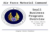 Integrity  Service  Excellence Small Business Programs Overview Ms Carol White HQ AFMC/SB 3 Sep 09 Air Force Materiel Command.