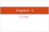 Crime Chapter 5. Hacking – some definitions Hacker Trophy hacking Phone phreaking Cracker White-hat hackers & black-hat hackers Script kiddies Sniffers.
