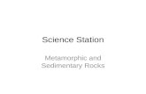Science Station Metamorphic and Sedimentary Rocks.