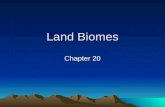 Land Biomes Chapter 20. Biomes Geographic area characterized by certain types of plant and animal communities Contains smaller ecosystems Rainfall and.