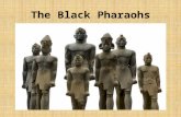 The Black Pharaohs. Pyramids of the Nubians Ancient Egypt and Race What is the modern concept of race?