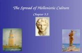 Chapter 5.5 The Spread of Hellenistic Culture. Why are we studying this? Hellenistic culture, a blend of Greek and other influences, flourished throughout