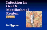 Infection in Oral & Maxillofacial Region Yu Chuang-Qi Pandect.