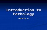 Introduction to Pathology Module A. Topics for Module A Prefixes, suffixes and root words Prefixes, suffixes and root words Pathologic terms Pathologic.