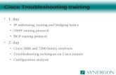 Cisco Troubleshooting training 1. day IP addressing, routing and bridging basics OSPF routing protocol BGP routing protocol 2. day Cisco 2600 and 7200.