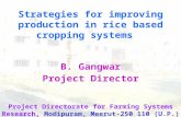 Strategies for improving production in rice based cropping systems B. Gangwar Project Director Project Directorate for Farming Systems Research, Modipuram,