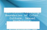 The Same and Different: Crossing Boundaries of Color, Culture, Sexual Preference, Disability, and Age By: Letty Cottin Pogrebin By Brooke Farber Workshop.