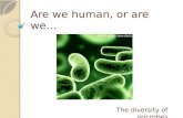 Are we human, or are we… The diversity of microbes.