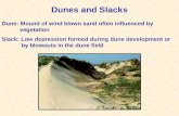 Dunes and Slacks Dune: Mound of wind blown sand often influenced by vegetation Slack: Low depression formed during dune development or by blowouts in the.