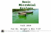 Basic Microbial Ecology Microbial Ecology Supplemental instruction Designed by Pyeongsug Kim ©2010 sibio@att.net @att.net.