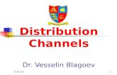 08/09/20151 Distribution Channels Dr. Vesselin Blagoev.