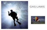 GAS LAWS. Behavior of Gases Gases can expand to fill their container Gases can be compressed –Because of the space between gas particles Compressibility: