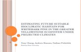 E STIMATING FUTURE SUITABLE BIOCLIMATIC HABITATS FOR WHITEBARK PINE IN THE G REATER Y ELLOWSTONE E COSYSTEM UNDER PROJECTED CLIMATES Tony Chang, Andrew.