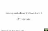 Neuropsychology Option Week 5, 2006 Neuropsychology OptionWeek 5 2 nd Lecture.