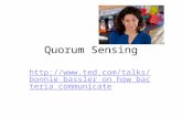 Quorum Sensing  assler_on_how_bacteria_communica te.