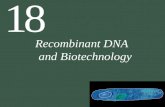 18 Recombinant DNA and Biotechnology. 18 Recombinant DNA and Biotechnology 18.1 What Is Recombinant DNA? 18.2 How Are New Genes Inserted into Cells? 18.3.