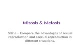 Mitosis & Meiosis SB2.e – Compare the advantages of sexual reproduction and asexual reproduction in different situations