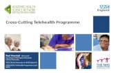 Cross-Cutting Telehealth Programme Paul Marriott TECS Lead Consultant NHS England Strategic Clinical Networks. TECS Clinical Advocate to NHS England &