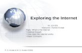 Exploring the Internet 91.113-031 Instructor: Patrick Krolak Topic: What is the Internet Internet Growth How does the Internet works Basic Concepts P.