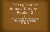 Mental Health and Substance Abuse Needs and Gaps FY 2013.