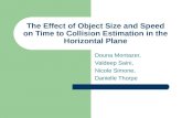 The Effect of Object Size and Speed on Time to Collision Estimation in the Horizontal Plane Douna Montazer, Valdeep Saini, Nicole Simone, Danielle Thorpe.
