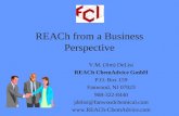 REACh from a Business Perspective V.M. (Jim) DeLisi REACh ChemAdvice GmbH P.O. Box 159 Fanwood, NJ 07023 908-322-8440 jdelisi@fanwoodchemical.com .
