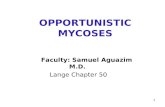 OPPORTUNISTIC MYCOSES Faculty: Samuel Aguazim M.D. Lange Chapter 50 1.