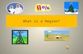 What is a Region? What is a region? A region is an area of land with unique characteristics that distinguish it from other areas. It can be as large.