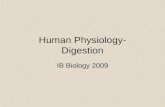 Human Physiology- Digestion IB Biology 2009.