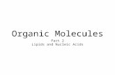 Organic Molecules Part 2 Lipids and Nucleic Acids