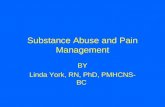 Substance Abuse and Pain Management BY Linda York, RN, PhD, PMHCNS- BC.