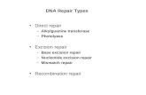 DNA Repair Types Direct repair –Alkylguanine transferase –Photolyase Excision repair –Base excision repair –Nucleotide excision repair –Mismatch repair
