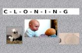 C - L - O - N - I - N - G. Introduction Different types of cloning Process of cloning Example of cloning --- Dolly Human cloning Advantages of cloning