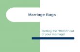 Marriage Bugs Getting the “BUGS” out of your marriage!