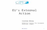 1 EU’s External Action Cristian Ghinea Romanian Centre for European Policies (CRPE) .