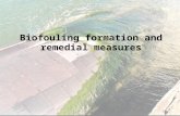 Biofouling formation and remedial measures. introduction Biofouling is the undesirable accumulation of microorganisms, plants, algae, and/or animals on.