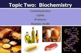 Topic Two: Biochemistry CarbohydratesLipidsProteins Nucleic Acids