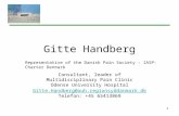 1 Gitte Handberg Consultant, leader of Multidisciplinary Pain Clinic Odense University Hospital Gitte.Handberg@ouh.regionsyddanmark.dk Telefon: +45 65413869.