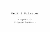 Unit 3 Primates Chapter 14 Primate Patterns. What are primates? Live in tropical climates South America Africa Asia.