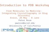 Erice 2008 Introduction to PDB Workshop From Molecules to Medicine: Integrating Crystallography in Drug Discovery Erice, 29 May - 8 June Peter Rose pwrose@ucsd.edu.