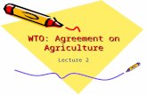 WTO: Agreement on Agriculture Lecture 2. Tanzania: