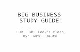 BIG BUSINESS STUDY GUIDE! FOR: Mr. Cook’s class By: Mrs. Camuto.